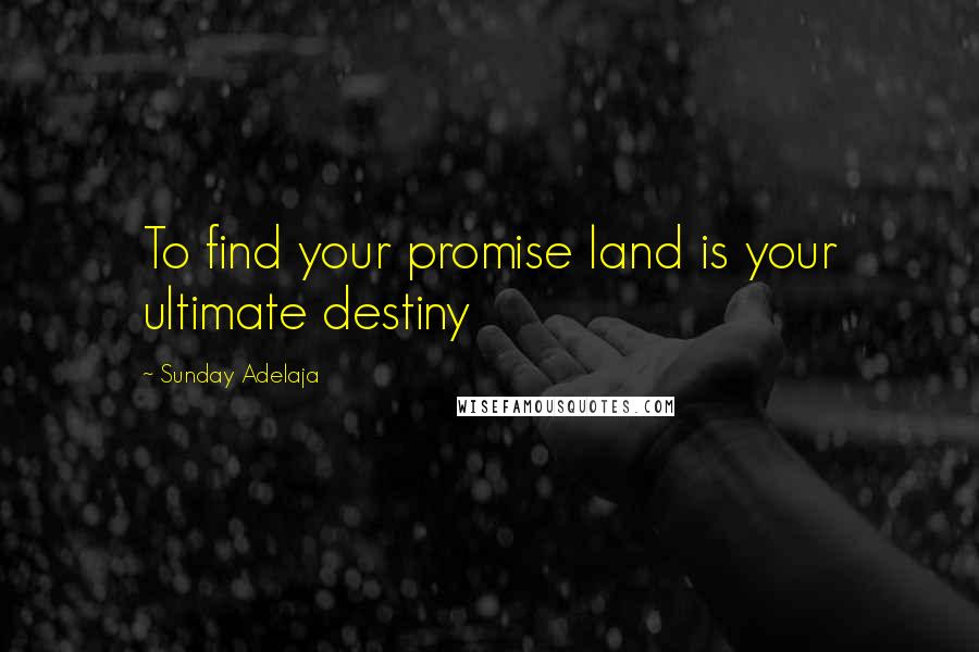 Sunday Adelaja Quotes: To find your promise land is your ultimate destiny