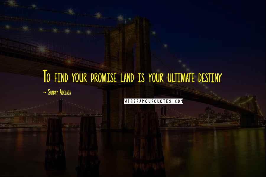 Sunday Adelaja Quotes: To find your promise land is your ultimate destiny
