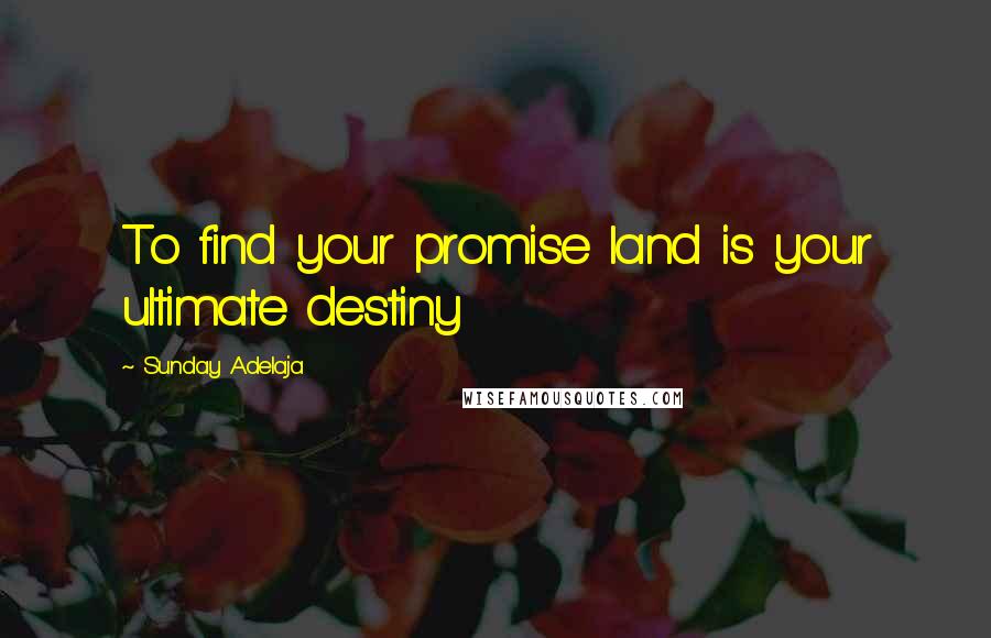 Sunday Adelaja Quotes: To find your promise land is your ultimate destiny
