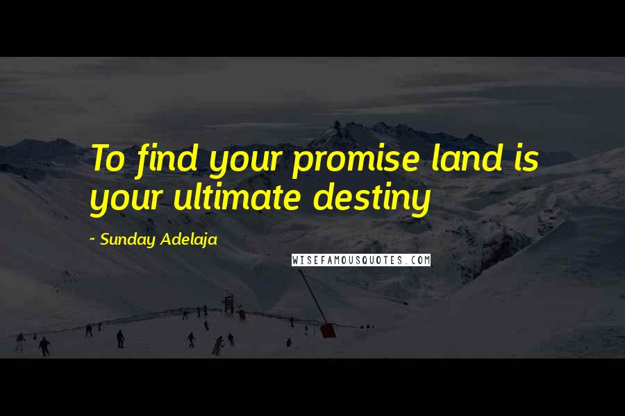 Sunday Adelaja Quotes: To find your promise land is your ultimate destiny