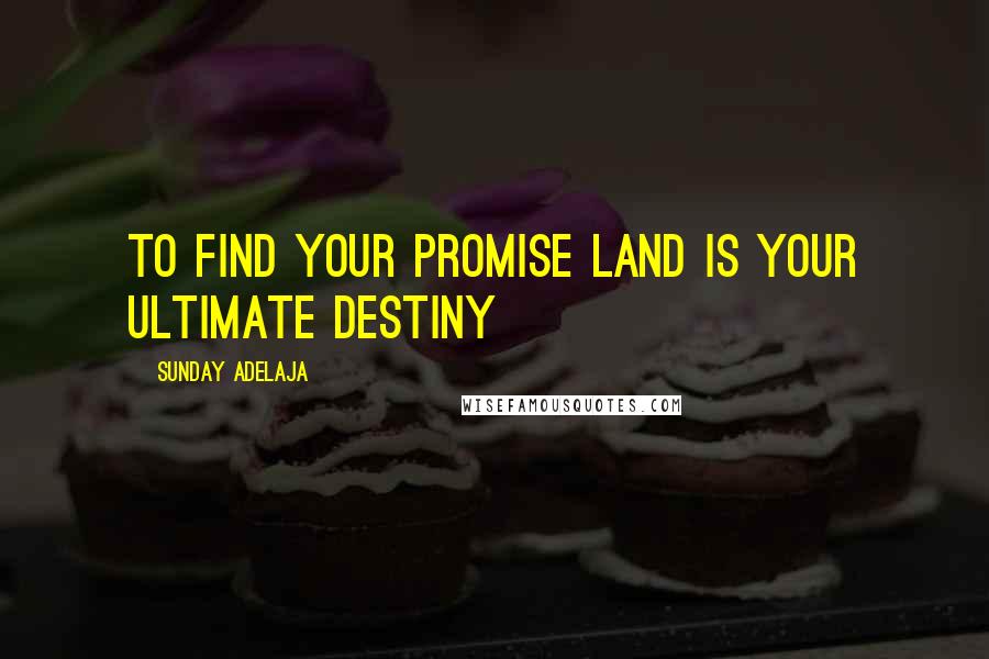 Sunday Adelaja Quotes: To find your promise land is your ultimate destiny
