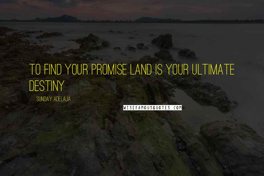 Sunday Adelaja Quotes: To find your promise land is your ultimate destiny