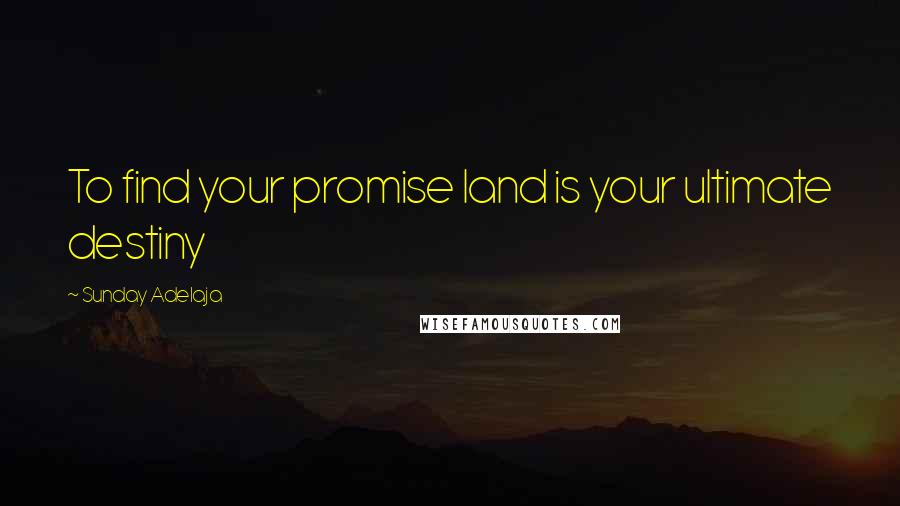 Sunday Adelaja Quotes: To find your promise land is your ultimate destiny
