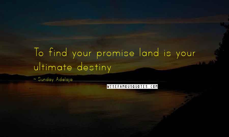 Sunday Adelaja Quotes: To find your promise land is your ultimate destiny