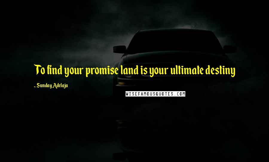 Sunday Adelaja Quotes: To find your promise land is your ultimate destiny