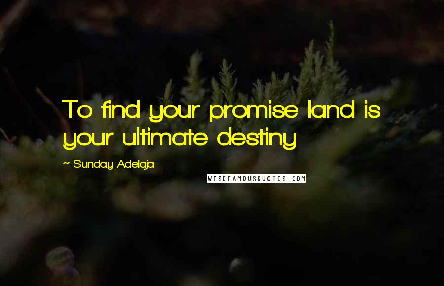 Sunday Adelaja Quotes: To find your promise land is your ultimate destiny