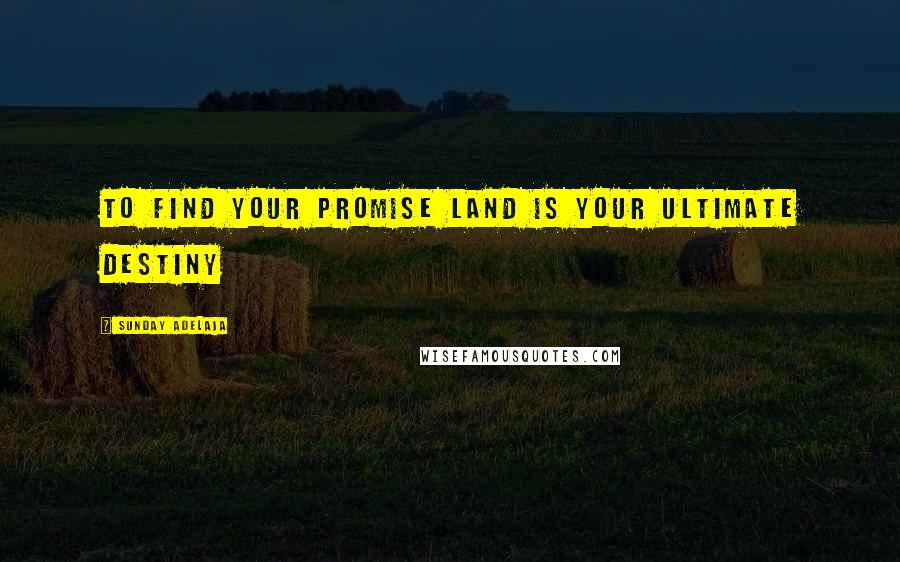 Sunday Adelaja Quotes: To find your promise land is your ultimate destiny