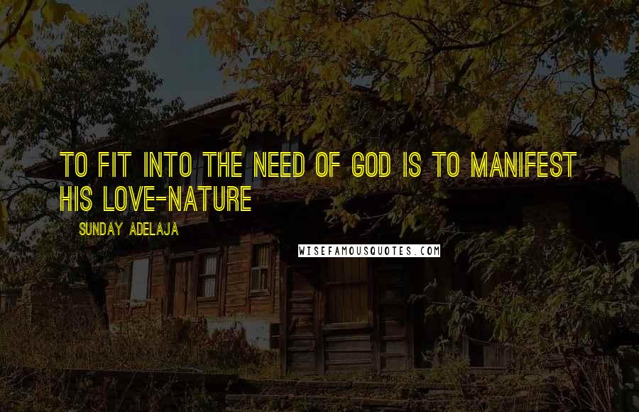 Sunday Adelaja Quotes: To fit into the need of God is to manifest his love-nature