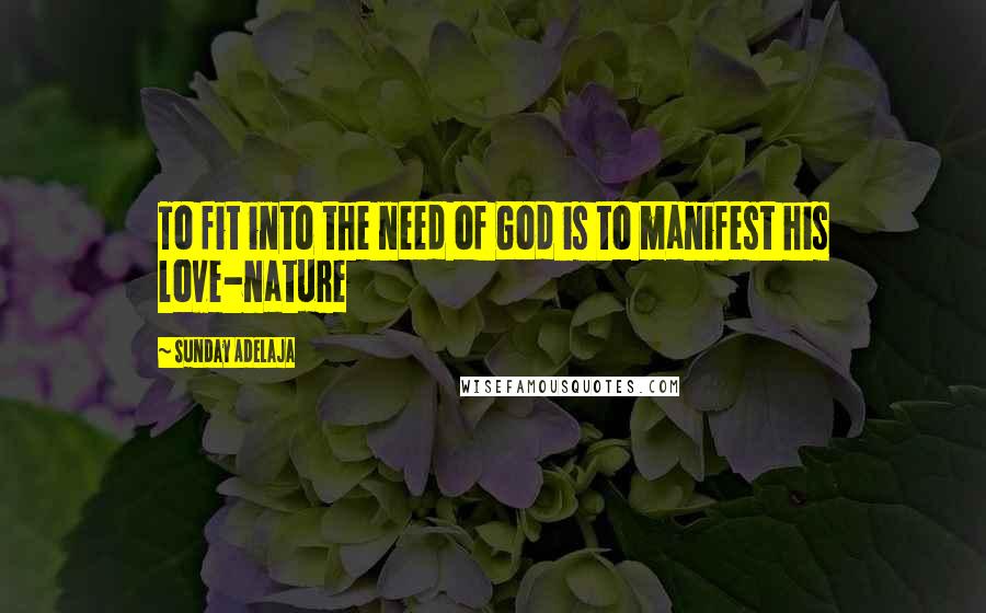 Sunday Adelaja Quotes: To fit into the need of God is to manifest his love-nature