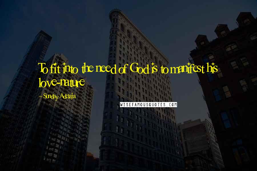 Sunday Adelaja Quotes: To fit into the need of God is to manifest his love-nature