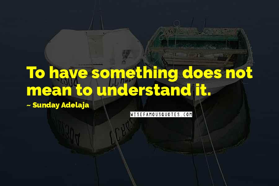 Sunday Adelaja Quotes: To have something does not mean to understand it.