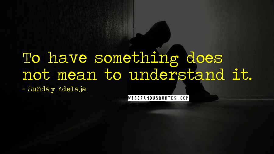 Sunday Adelaja Quotes: To have something does not mean to understand it.