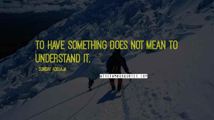 Sunday Adelaja Quotes: To have something does not mean to understand it.