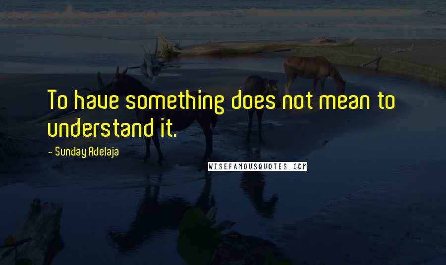 Sunday Adelaja Quotes: To have something does not mean to understand it.