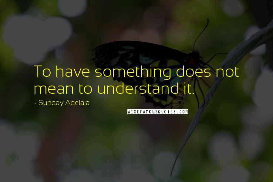 Sunday Adelaja Quotes: To have something does not mean to understand it.