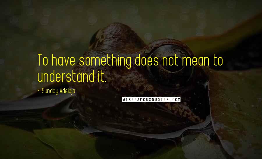 Sunday Adelaja Quotes: To have something does not mean to understand it.