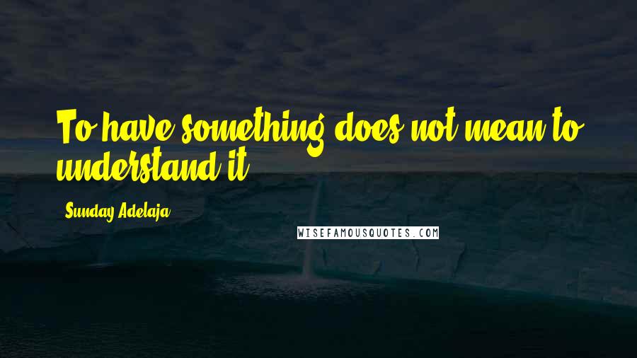 Sunday Adelaja Quotes: To have something does not mean to understand it.