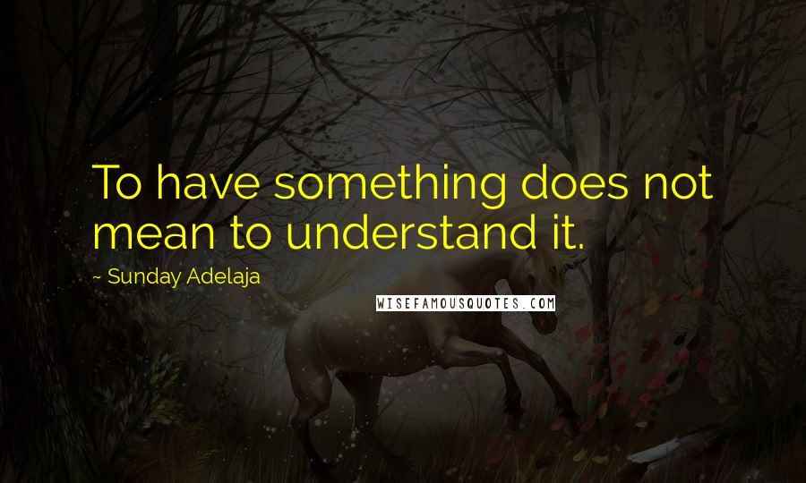Sunday Adelaja Quotes: To have something does not mean to understand it.