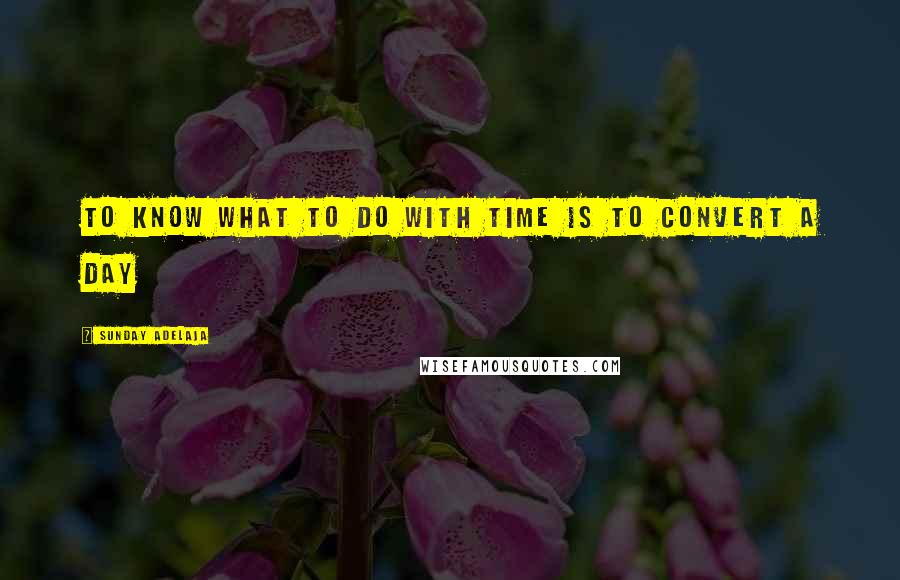 Sunday Adelaja Quotes: To know what to do with time is to convert a day