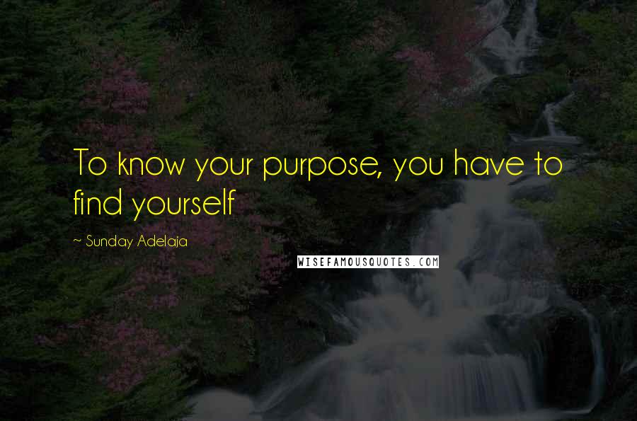 Sunday Adelaja Quotes: To know your purpose, you have to find yourself