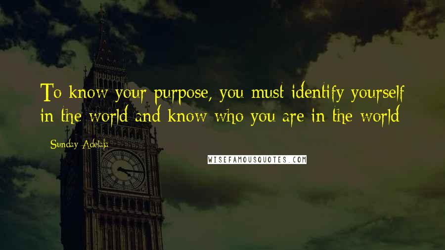 Sunday Adelaja Quotes: To know your purpose, you must identify yourself in the world and know who you are in the world