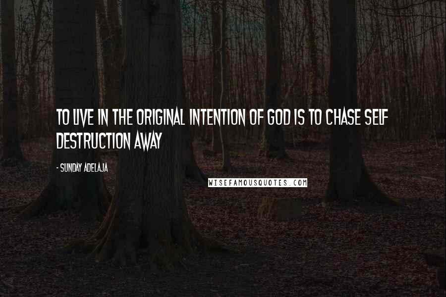Sunday Adelaja Quotes: To Live In The Original Intention Of God Is To Chase Self Destruction Away