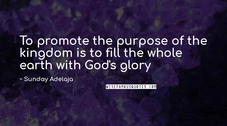 Sunday Adelaja Quotes: To promote the purpose of the kingdom is to fill the whole earth with God's glory
