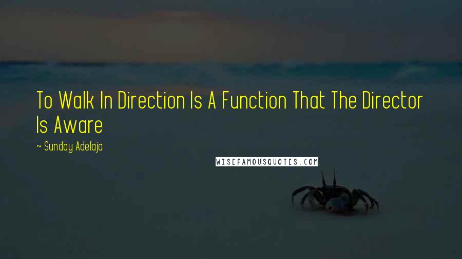 Sunday Adelaja Quotes: To Walk In Direction Is A Function That The Director Is Aware