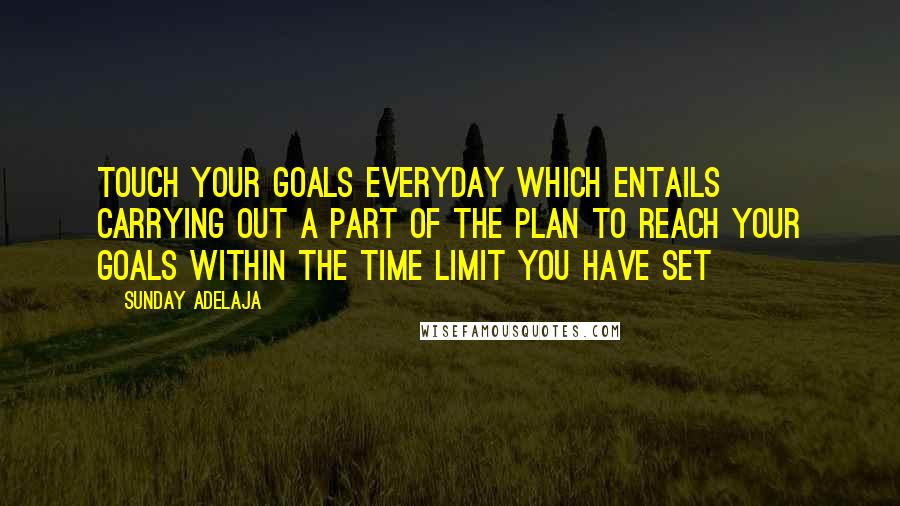Sunday Adelaja Quotes: Touch your goals everyday which entails carrying out a part of the plan to reach your goals within the time limit you have set