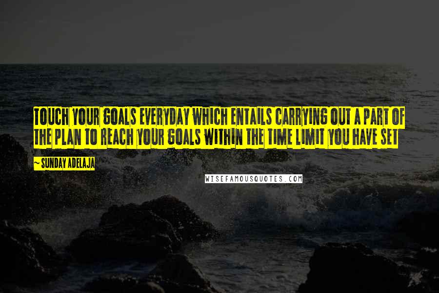 Sunday Adelaja Quotes: Touch your goals everyday which entails carrying out a part of the plan to reach your goals within the time limit you have set