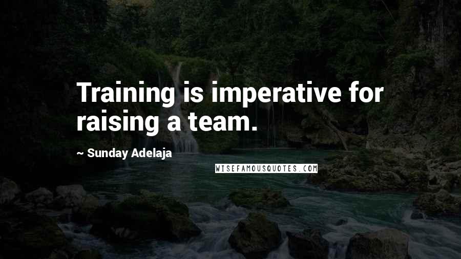 Sunday Adelaja Quotes: Training is imperative for raising a team.