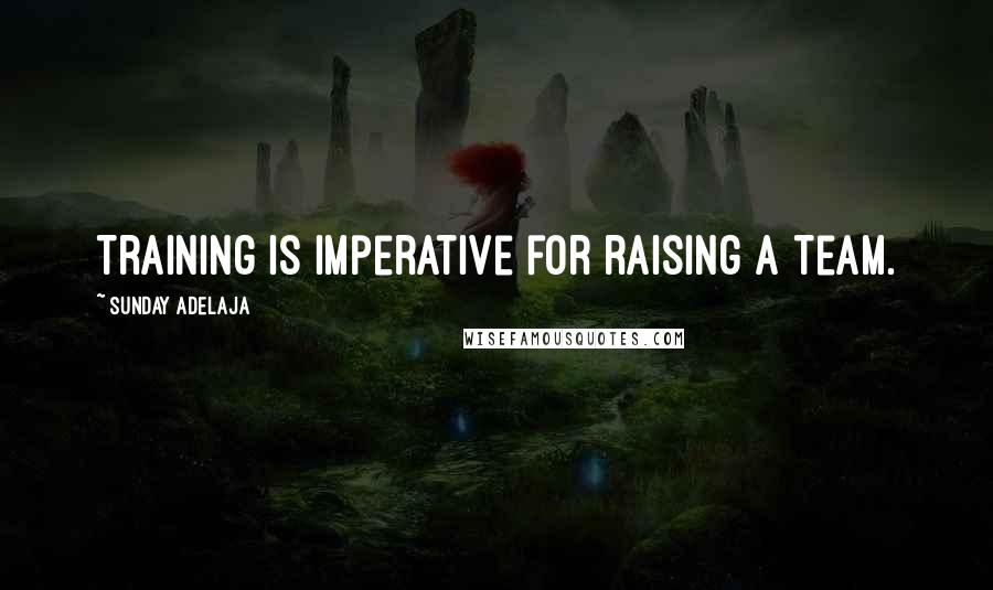 Sunday Adelaja Quotes: Training is imperative for raising a team.