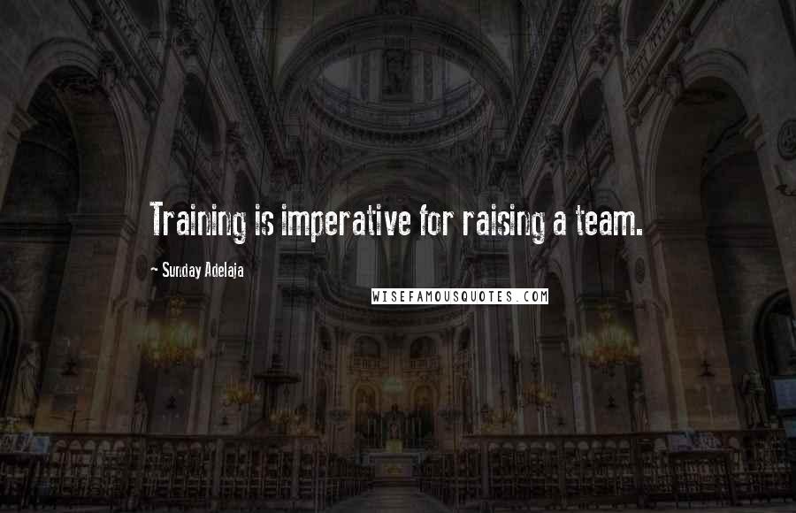 Sunday Adelaja Quotes: Training is imperative for raising a team.