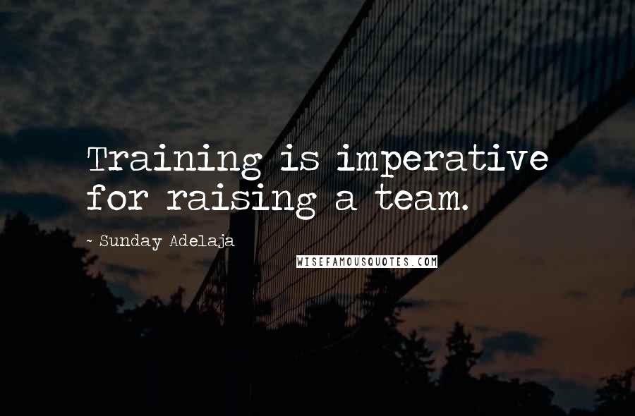 Sunday Adelaja Quotes: Training is imperative for raising a team.