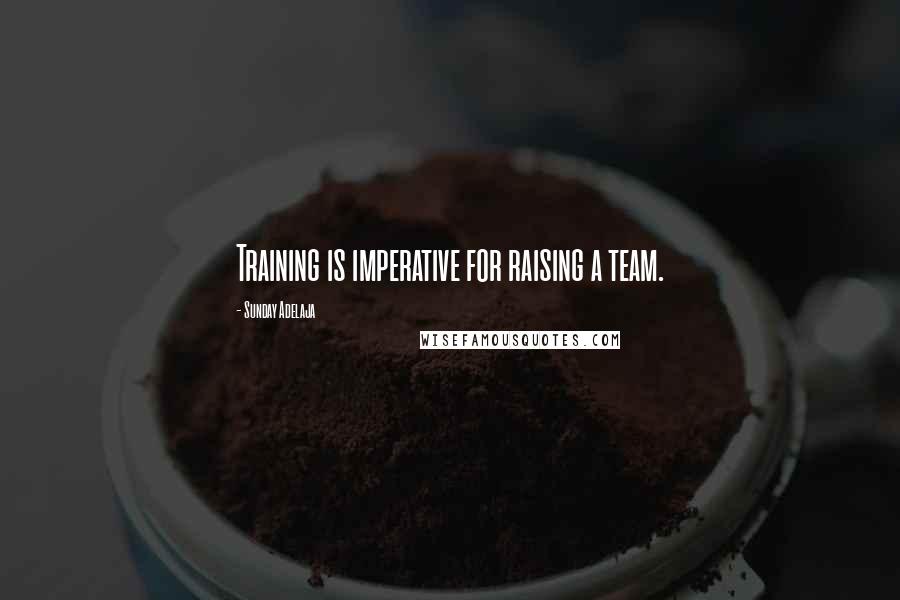 Sunday Adelaja Quotes: Training is imperative for raising a team.