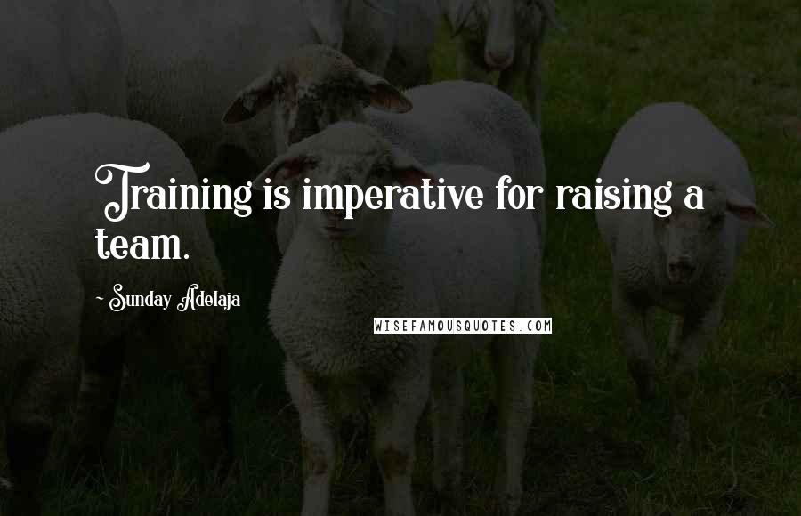 Sunday Adelaja Quotes: Training is imperative for raising a team.