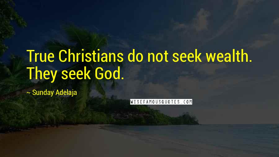 Sunday Adelaja Quotes: True Christians do not seek wealth. They seek God.