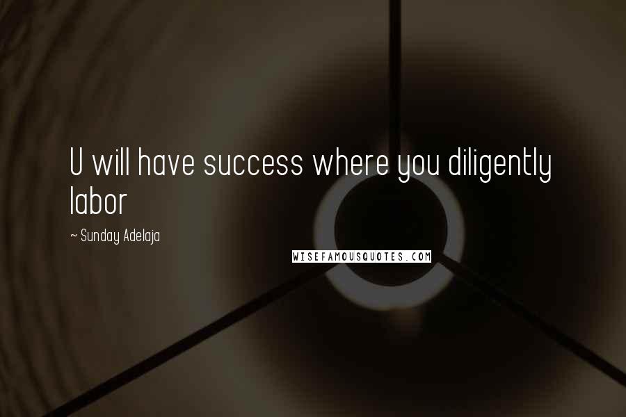 Sunday Adelaja Quotes: U will have success where you diligently labor