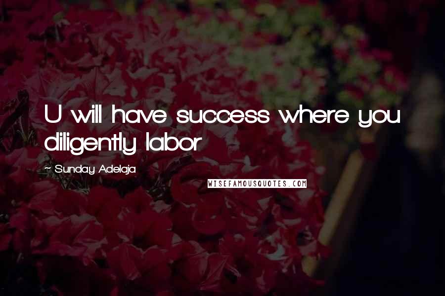 Sunday Adelaja Quotes: U will have success where you diligently labor