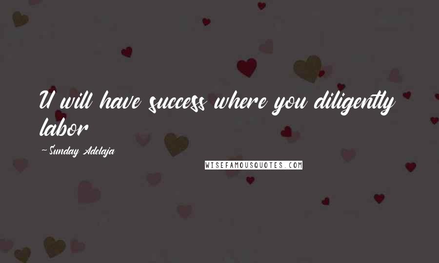 Sunday Adelaja Quotes: U will have success where you diligently labor