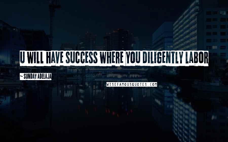 Sunday Adelaja Quotes: U will have success where you diligently labor