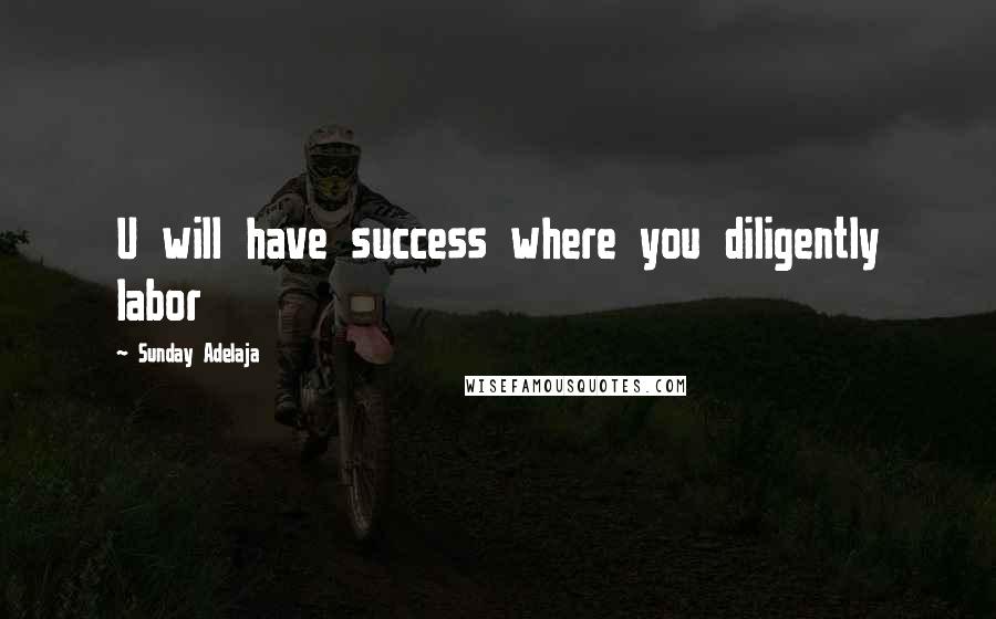 Sunday Adelaja Quotes: U will have success where you diligently labor