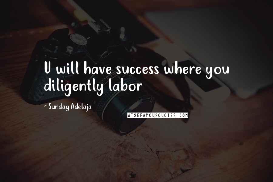 Sunday Adelaja Quotes: U will have success where you diligently labor