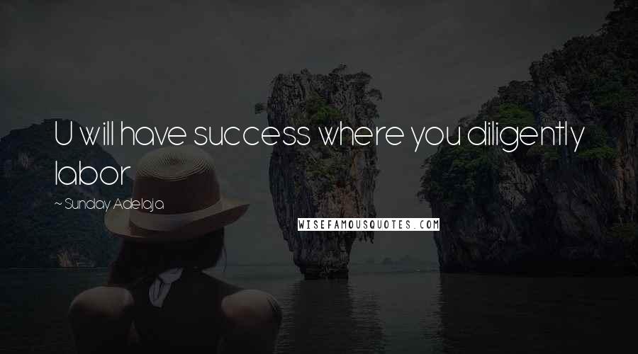 Sunday Adelaja Quotes: U will have success where you diligently labor