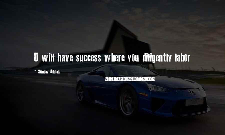 Sunday Adelaja Quotes: U will have success where you diligently labor