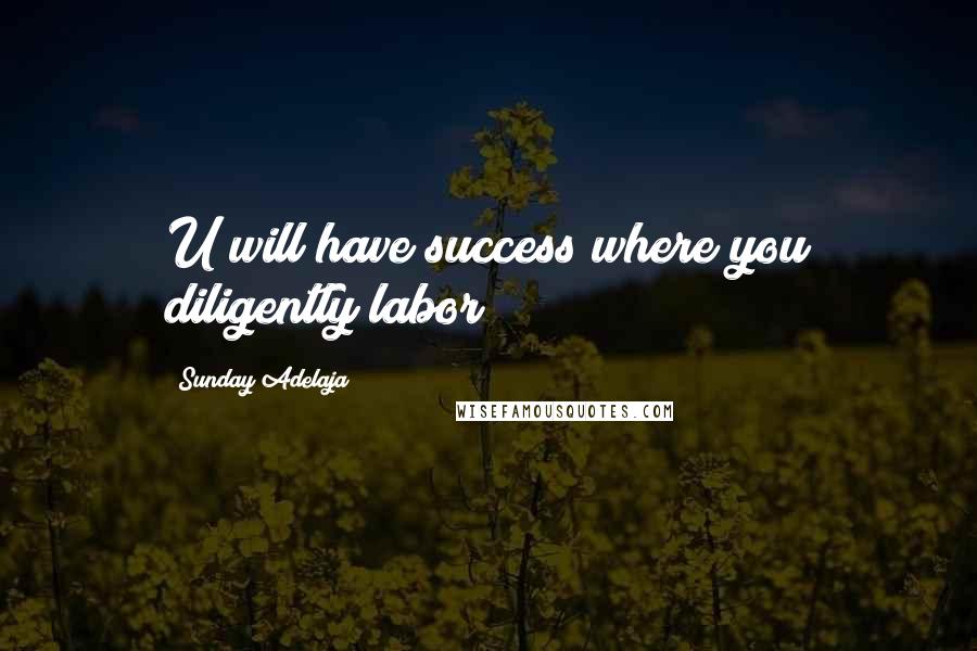 Sunday Adelaja Quotes: U will have success where you diligently labor