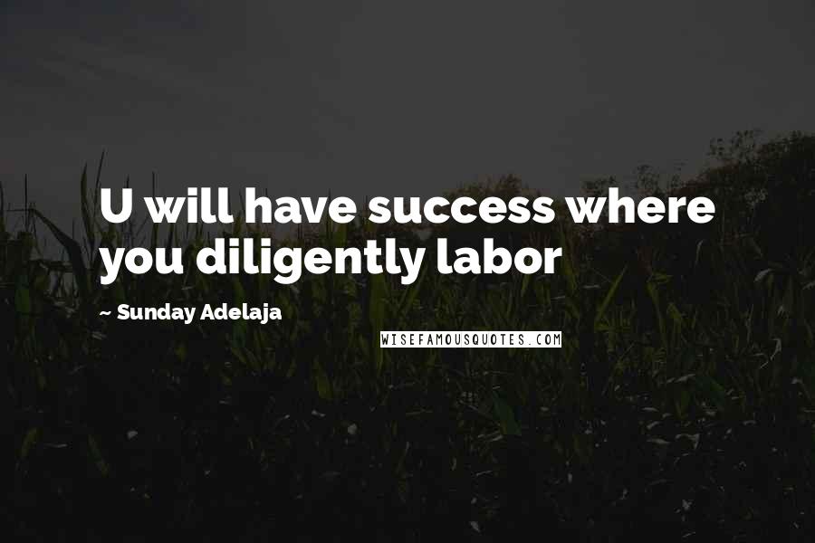 Sunday Adelaja Quotes: U will have success where you diligently labor