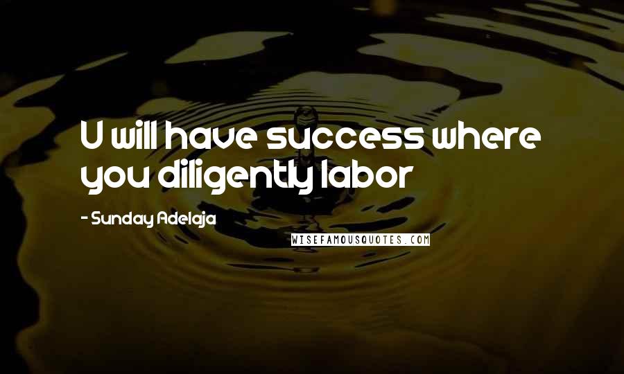 Sunday Adelaja Quotes: U will have success where you diligently labor