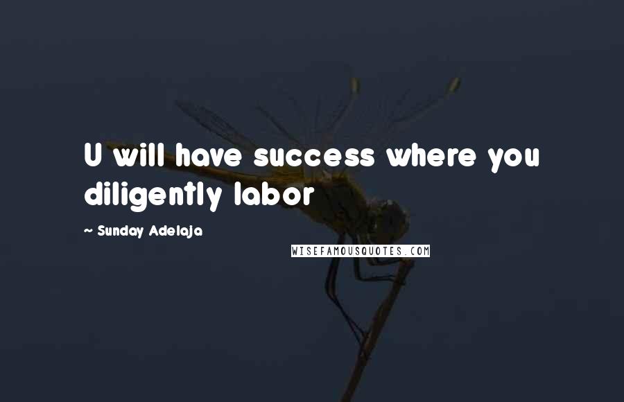 Sunday Adelaja Quotes: U will have success where you diligently labor