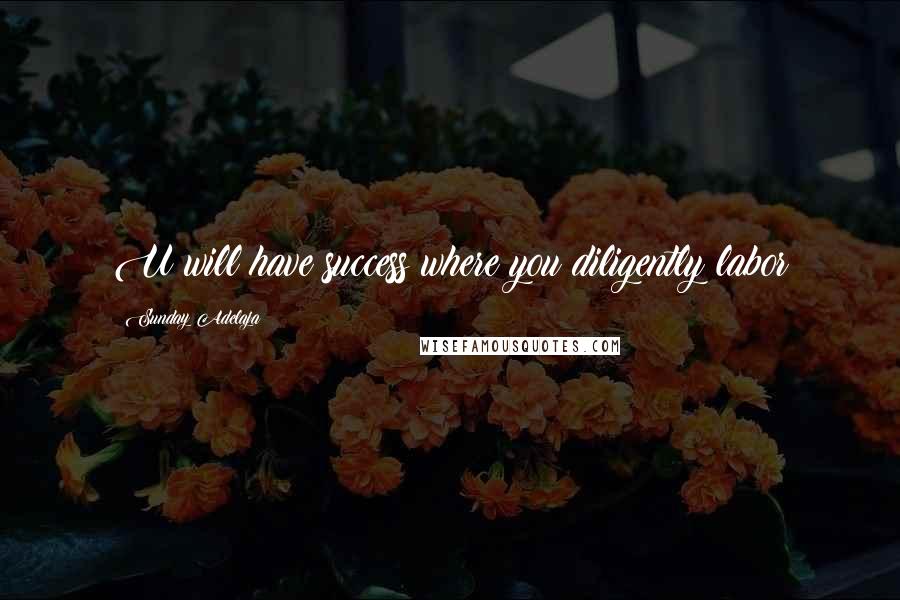Sunday Adelaja Quotes: U will have success where you diligently labor